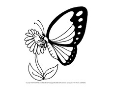 Ausmalbild-Schmetterling 16.pdf